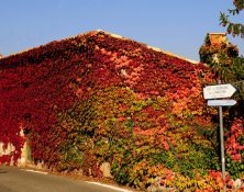 Automne