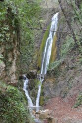 Cascade Rémaurian