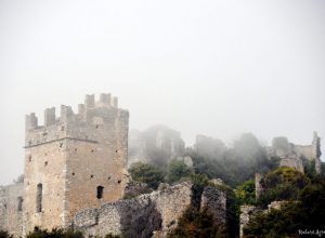 Accueil