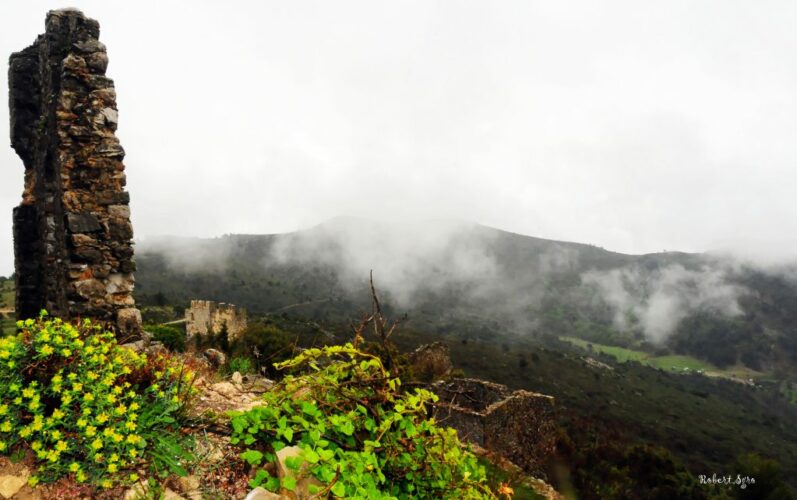 Ruines brume