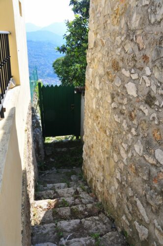 Ruelle