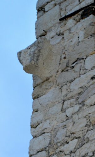 Tête de taureau sculptée