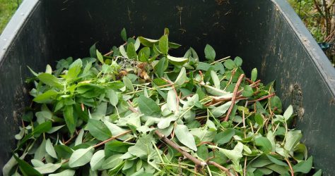 Déchets verts