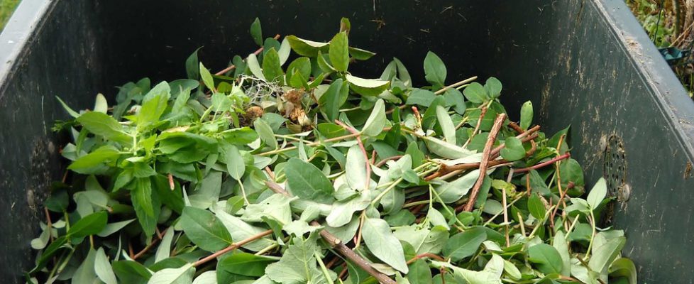 Déchets verts