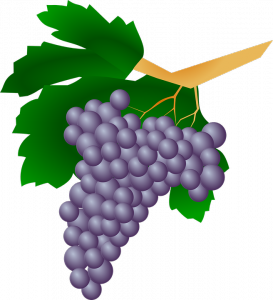 grapes-159820_960_720