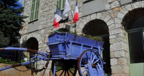 Les élus