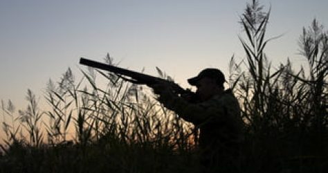 Arrêté préfectoral pour l’ouverture et la fermeture de la chasse