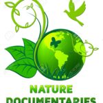 Vidéo sensibilisation à l’environnement