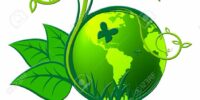 Vidéo sensibilisation à l’environnement