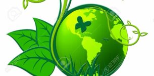 Vidéo sensibilisation à l’environnement