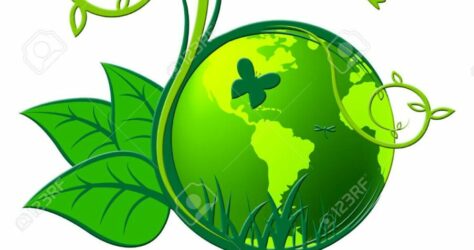 Vidéo sensibilisation à l’environnement