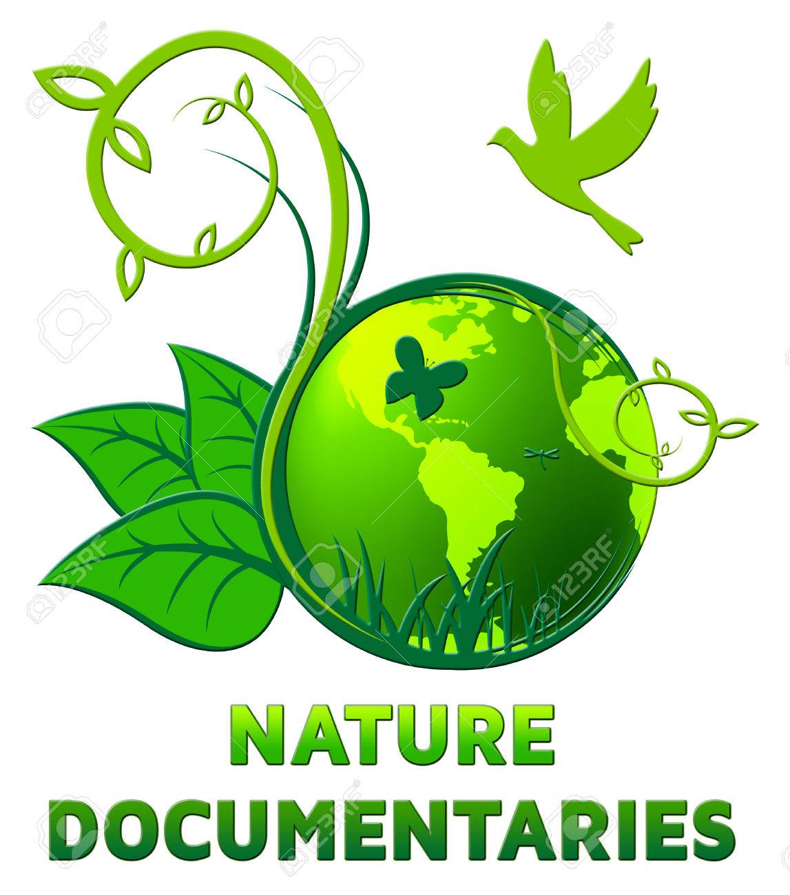 Vidéo sensibilisation à l’environnement