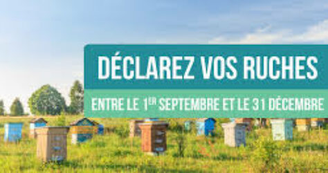 Déclarez vos ruches