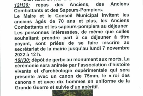 Cérémonie du 11 novembre 2022